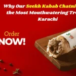 Seekh kabab chatni
